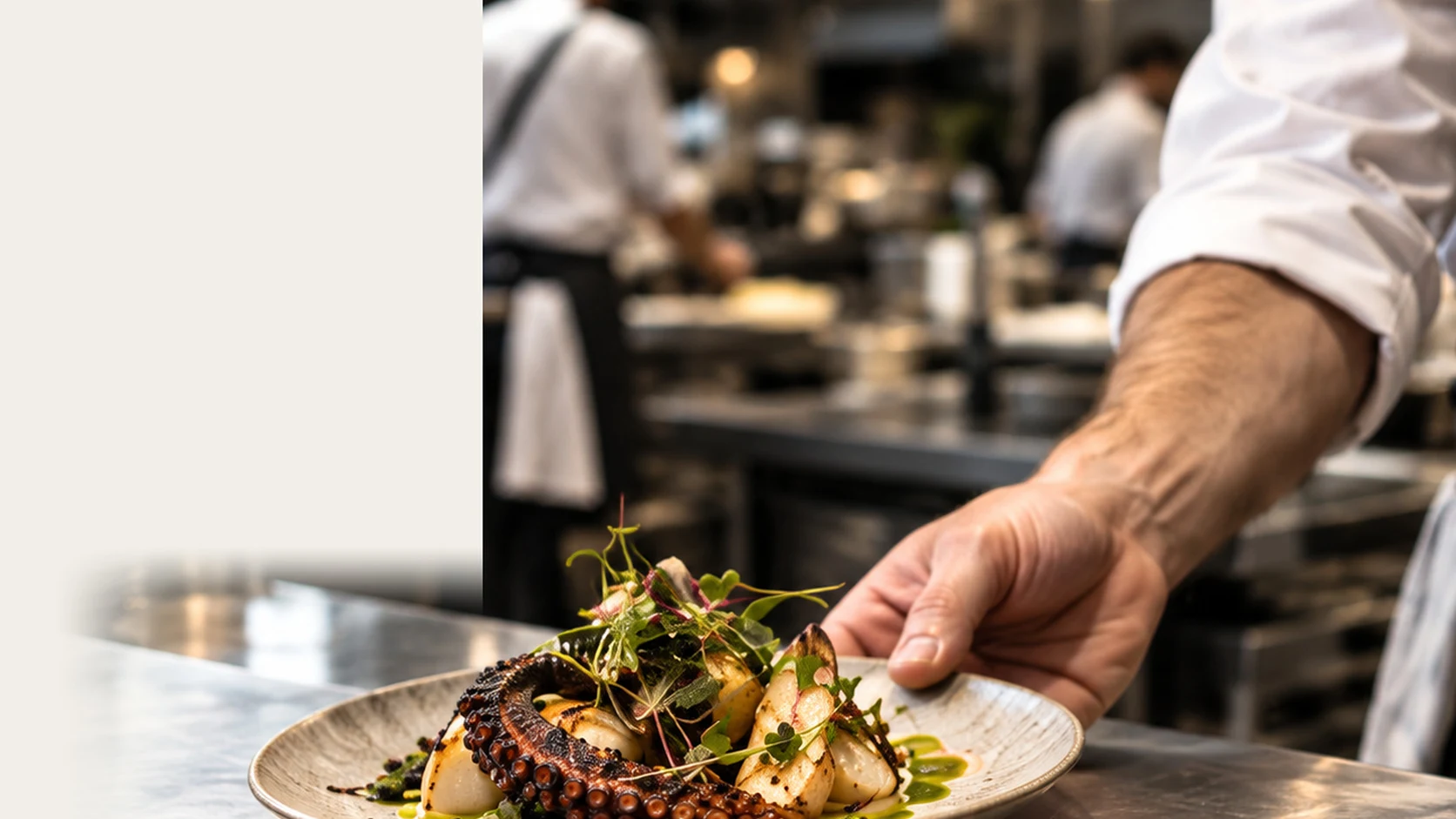 Un visuel du véritable site Méra : une assiette au passe